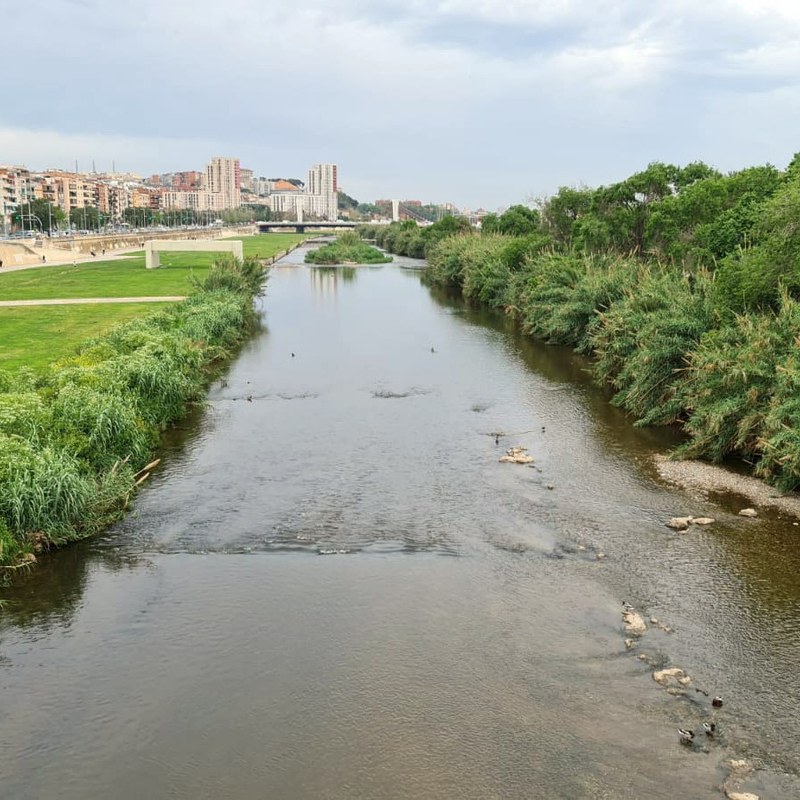 01_Projecte Unite quadrat.jpeg