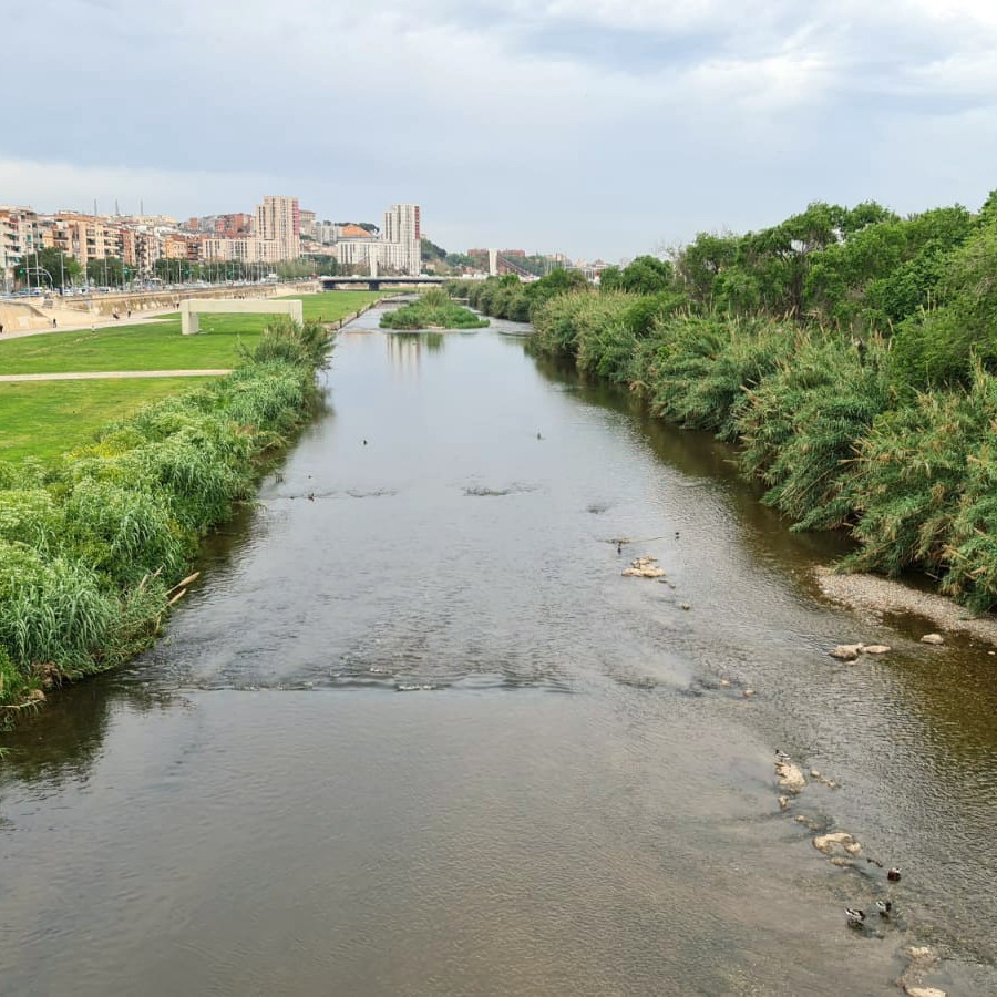 01_Projecte Unite quadrat.jpeg