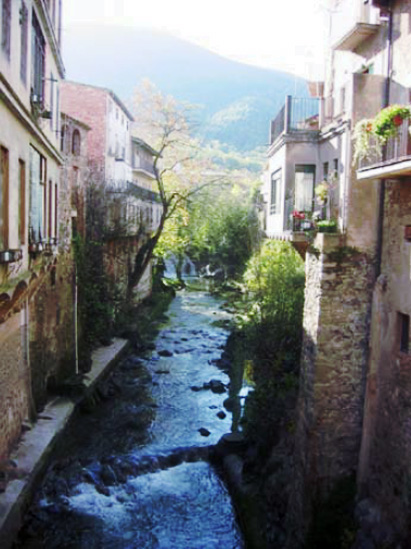 2-Sant Feliu de Pallerols 08.jpg