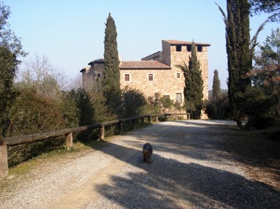 Estudio de los usos de las fincas rústicas de Sant Cugat del Vallès incluidas en el ámbito del PEIN de Collserola