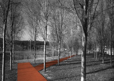 Estudio ambiental y propuesta de nuevos usos para el entorno del río Ripoll a su paso por Barberà del Vallès